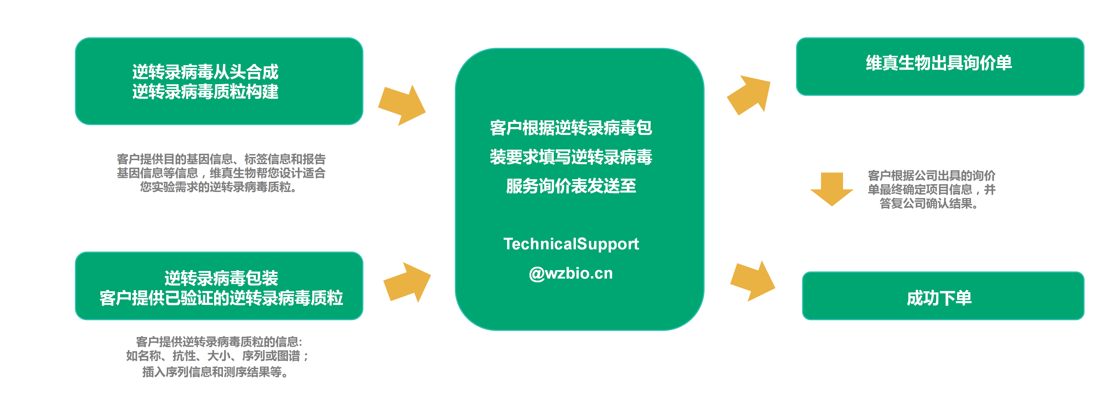 逆转录病毒包装服务流程