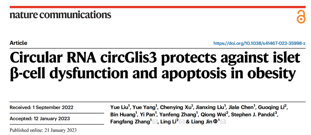 维真生物AAV8病毒包装助力环状RNA与2型糖尿病机制研究文章的图片